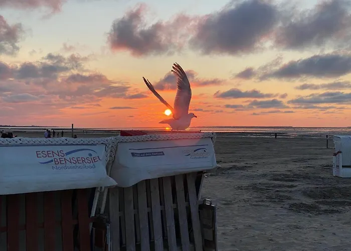 Baerenkoje Apartman Esens