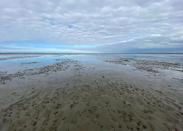 Apartman Baerenkoje *